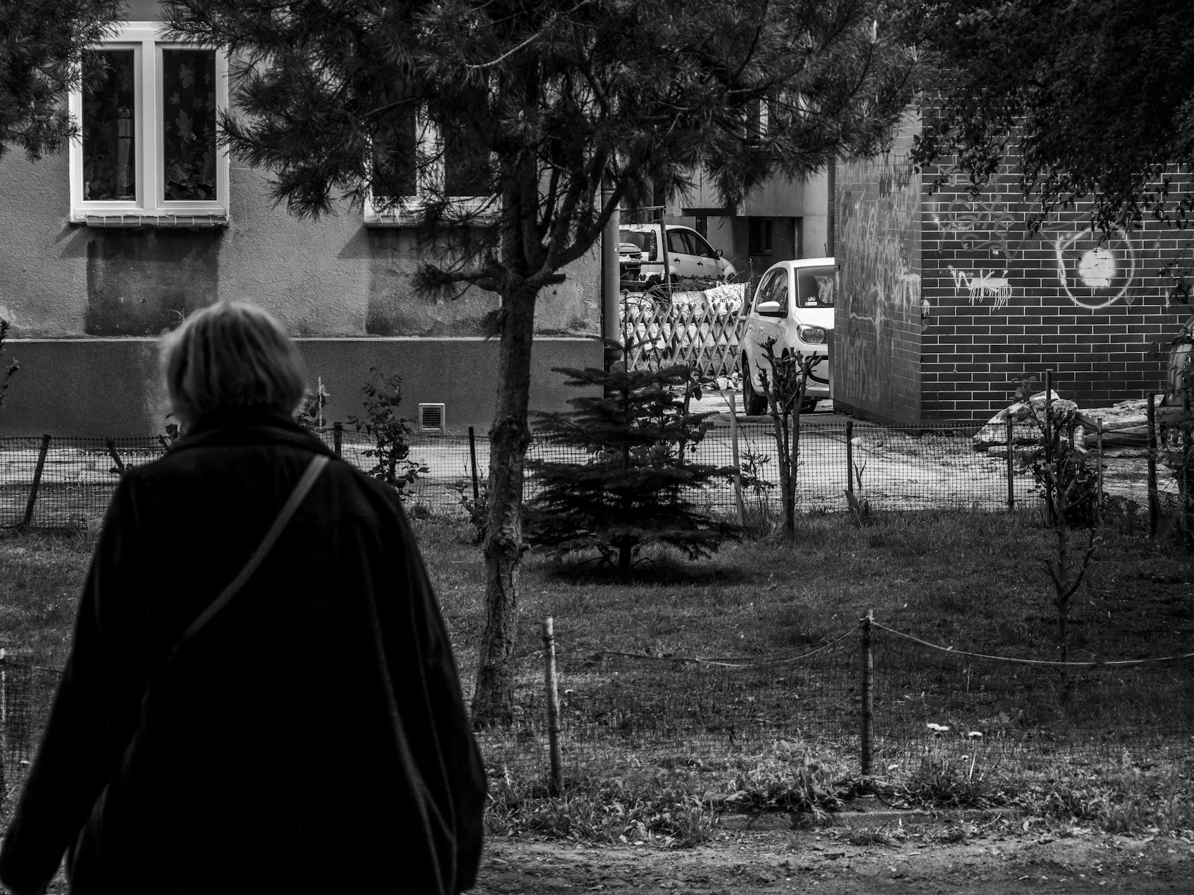 Panorama miasta Nowa Sól z widoczną rzeką i zabudowaniami.